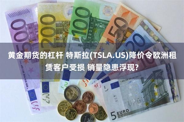 黄金期货的杠杆 特斯拉(TSLA.US)降价令欧洲租赁客户受损 销量隐患浮现?