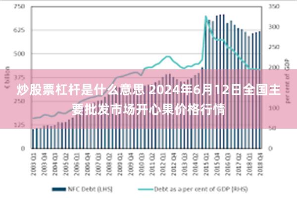 炒股票杠杆是什么意思 2024年6月12日全国主要批发市场开心果价格行情