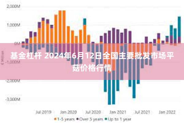 基金杠杆 2024年6月12日全国主要批发市场平菇价格行情