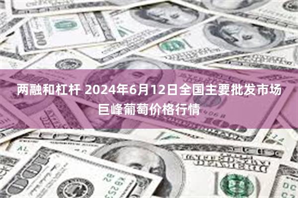 两融和杠杆 2024年6月12日全国主要批发市场巨峰葡萄价格行情