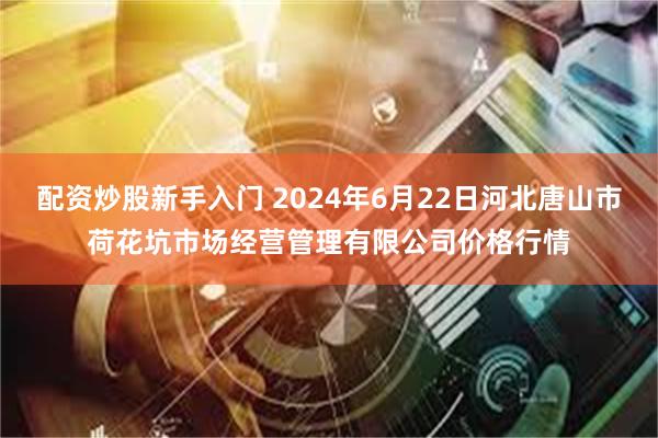 配资炒股新手入门 2024年6月22日河北唐山市荷花坑市场经营管理有限公司价格行情