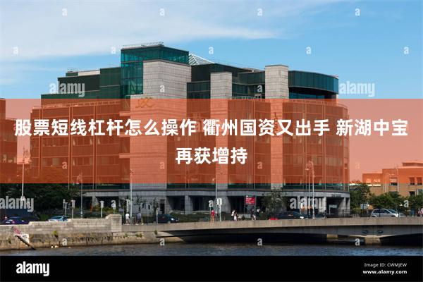 股票短线杠杆怎么操作 衢州国资又出手 新湖中宝再获增持