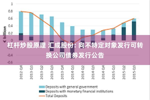 杠杆炒股原理 汇成股份: 向不特定对象发行可转换公司债券发行公告