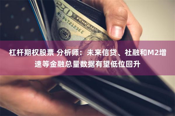 杠杆期权股票 分析师：未来信贷、社融和M2增速等金融总量数据有望低位回升