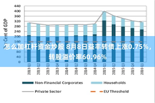 怎么加杠杆资金炒股 8月8日益丰转债上涨0.75%，转股溢价率60.96%