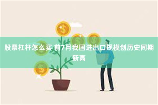 股票杠杆怎么买 前7月我国进出口规模创历史同期新高