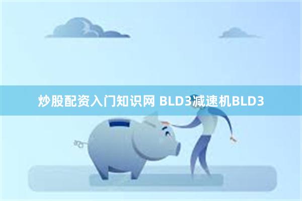 炒股配资入门知识网 BLD3减速机BLD3