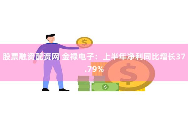 股票融资配资网 金禄电子：上半年净利同比增长37.79%