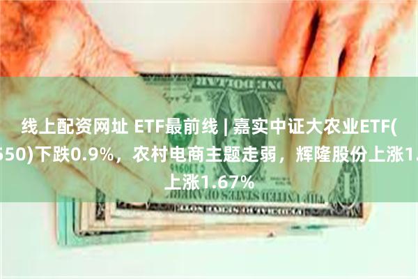 线上配资网址 ETF最前线 | 嘉实中证大农业ETF(516550)下跌0.9%，农村电商主题走弱，辉隆股份上涨1.67%