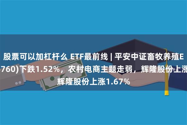 股票可以加杠杆么 ETF最前线 | 平安中证畜牧养殖ETF(516760)下跌1.52%，农村电商主题走弱，辉隆股份上涨1.67%