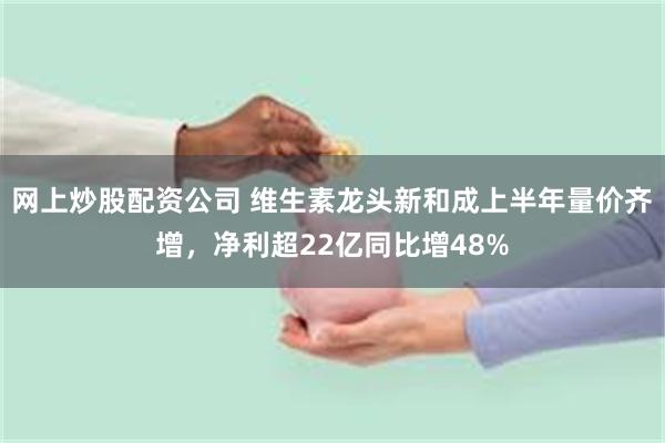 网上炒股配资公司 维生素龙头新和成上半年量价齐增，净利超22亿同比增48%