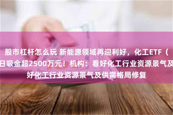 股市杠杆怎么玩 新能源领域再迎利好，化工ETF（516020）20日吸金超2500万元！机构：看好化工行业资源景气及供需格局修复