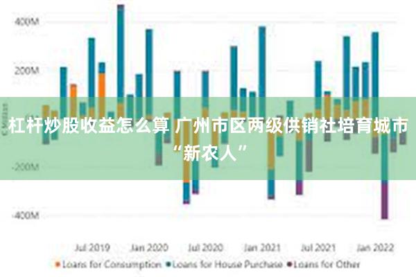 杠杆炒股收益怎么算 广州市区两级供销社培育城市“新农人”