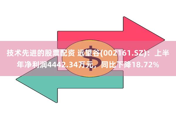 技术先进的股票配资 远望谷(002161.SZ)：上半年净利润4442.34万元，同比下降18.72%