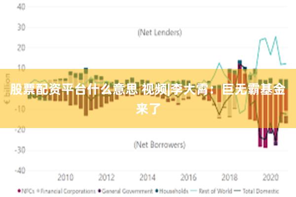 股票配资平台什么意思 视频|李大霄：巨无霸基金来了