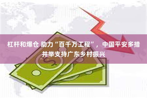 杠杆和爆仓 助力“百千万工程”，中国平安多措并举支持广东乡村振兴