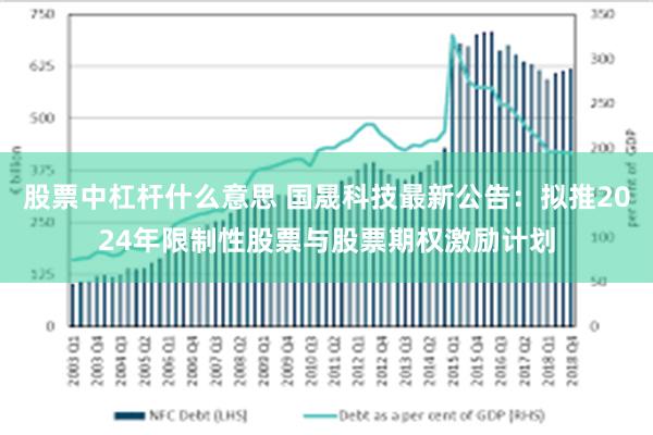 股票中杠杆什么意思 国晟科技最新公告：拟推2024年限制性股票与股票期权激励计划