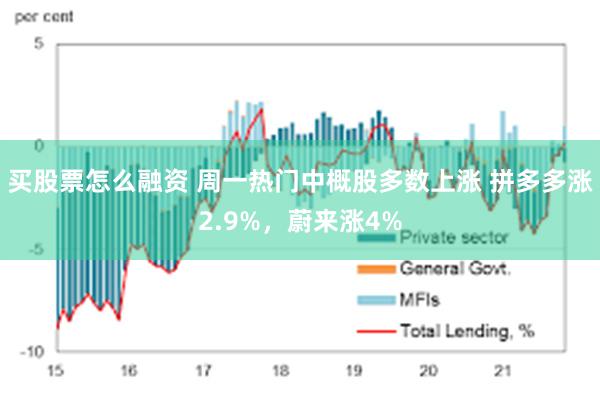 买股票怎么融资 周一热门中概股多数上涨 拼多多涨2.9%，蔚来涨4%