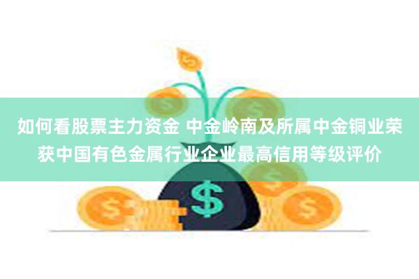 如何看股票主力资金 中金岭南及所属中金铜业荣获中国有色金属行业企业最高信用等级评价