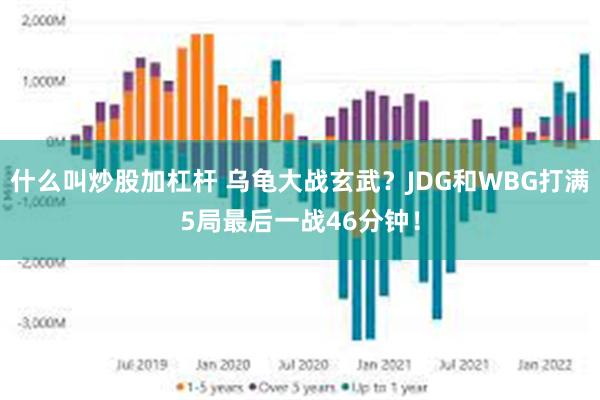 什么叫炒股加杠杆 乌龟大战玄武？JDG和WBG打满5局最后一战46分钟！